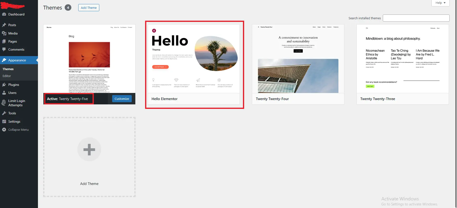 WordPress dashboard showing the themes page under Appearance