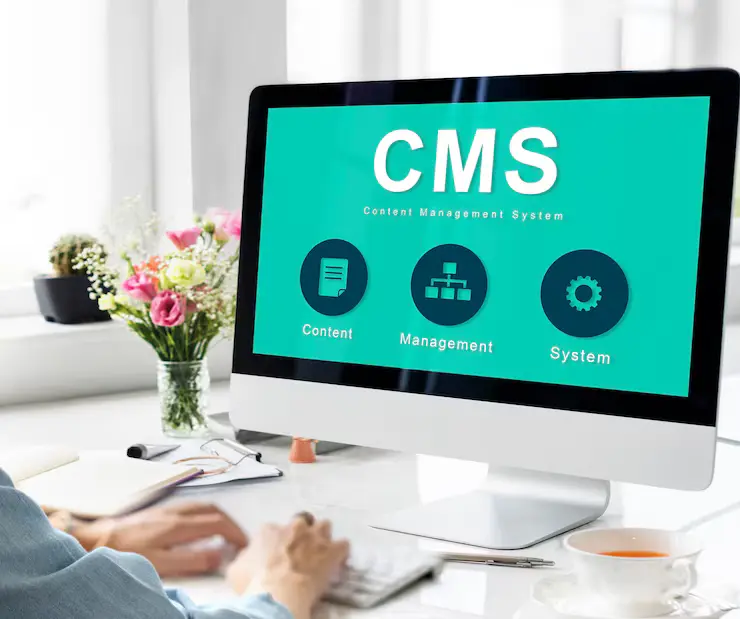 WordPress CMS concept illustration showing content management