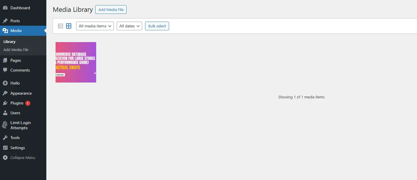 Main library grid showing images, PDF, video