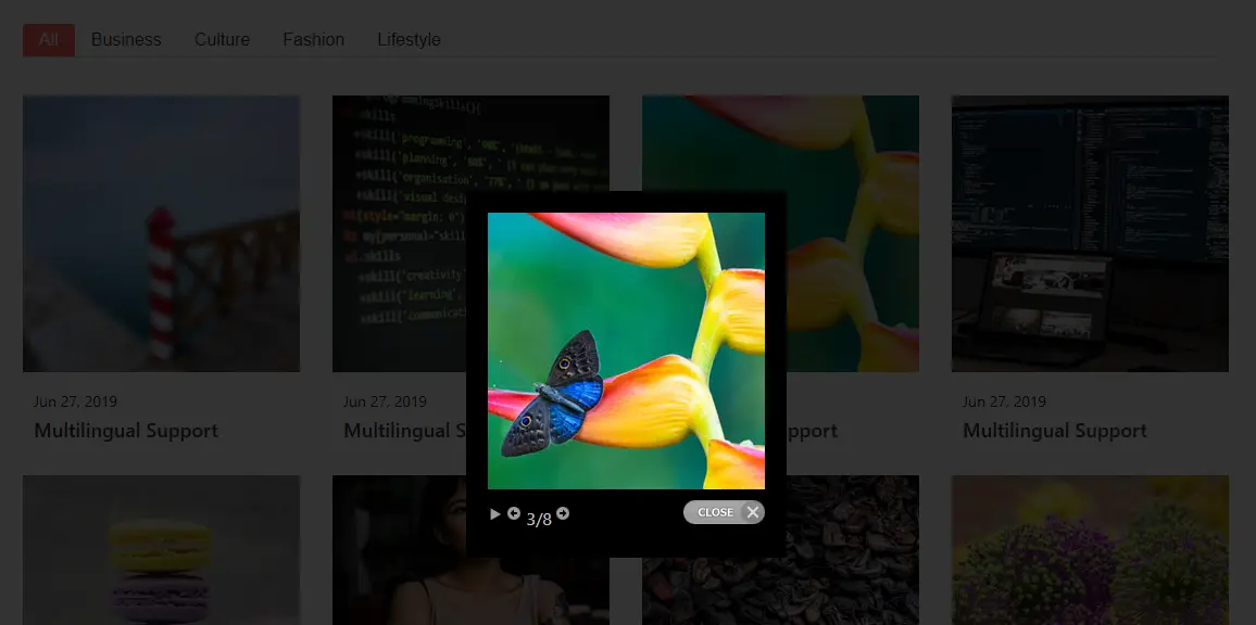 Lightbox popup showing full-size image